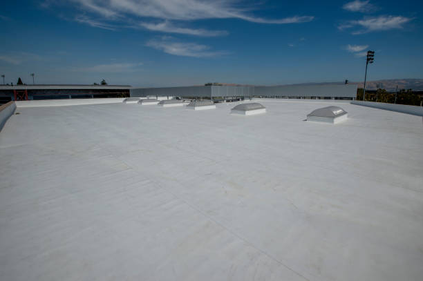 Best Cold Roofs  in Laguna Park, TX