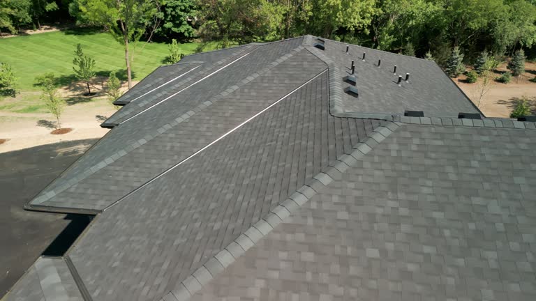 Best Roof Moss and Algae Removal  in Laguna Park, TX